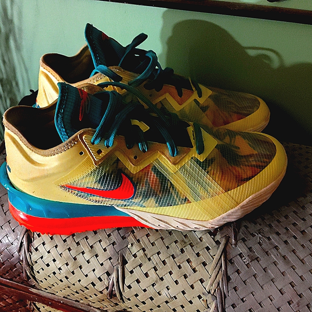 LeBrons in Excellent condition worn twice inside only.......